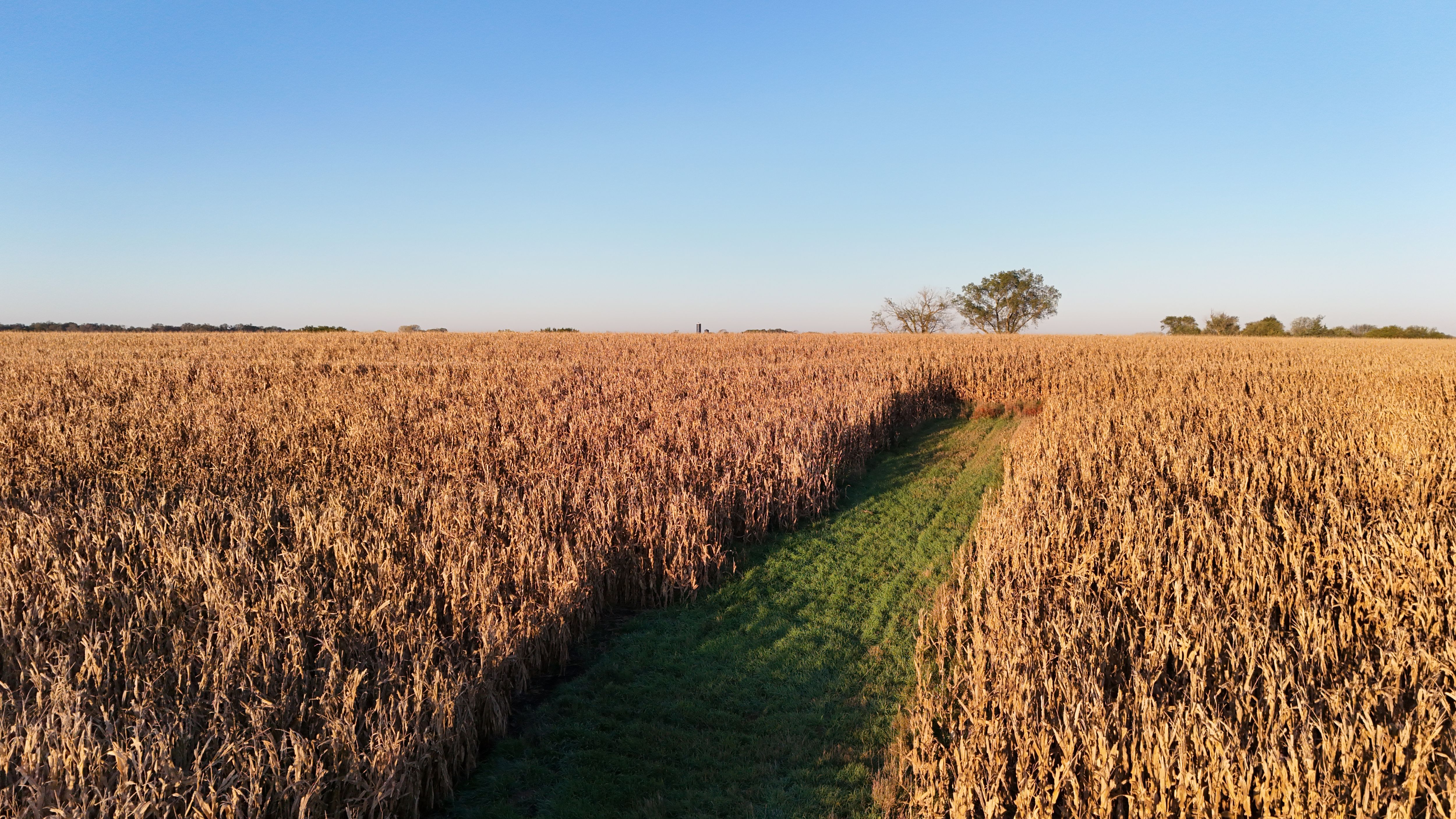 Listing Photo: lancaster-county-ne-125-acres (18)